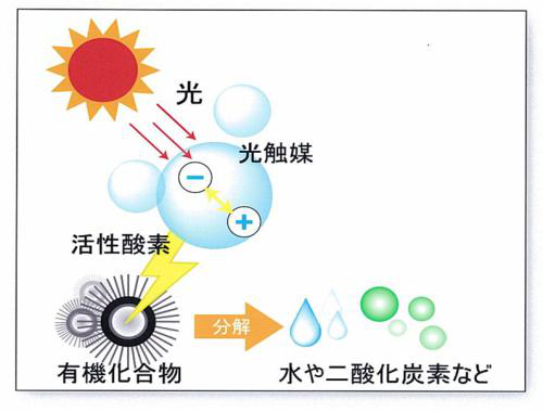 甲醛治理，甲醛污染，格瑞乐，武汉除甲醛，净化委湖北中心