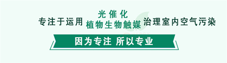 武汉除甲醛,武汉甲醛治理,武汉除甲醛公司,绿快千里家具除醛触媒2.0